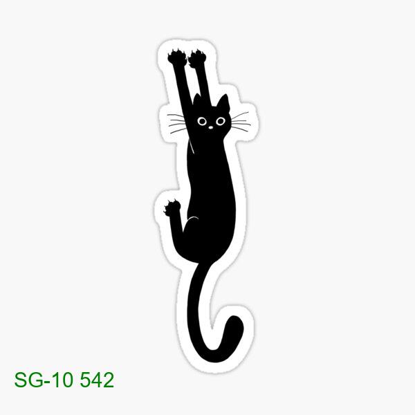 Black Cat Holding On