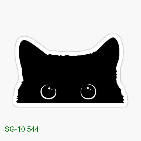 Black cat