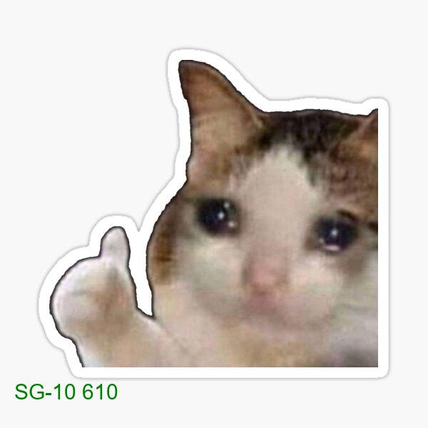 Everything’s good cat