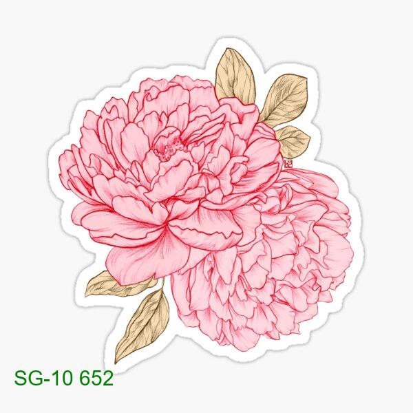 Pink Peonies